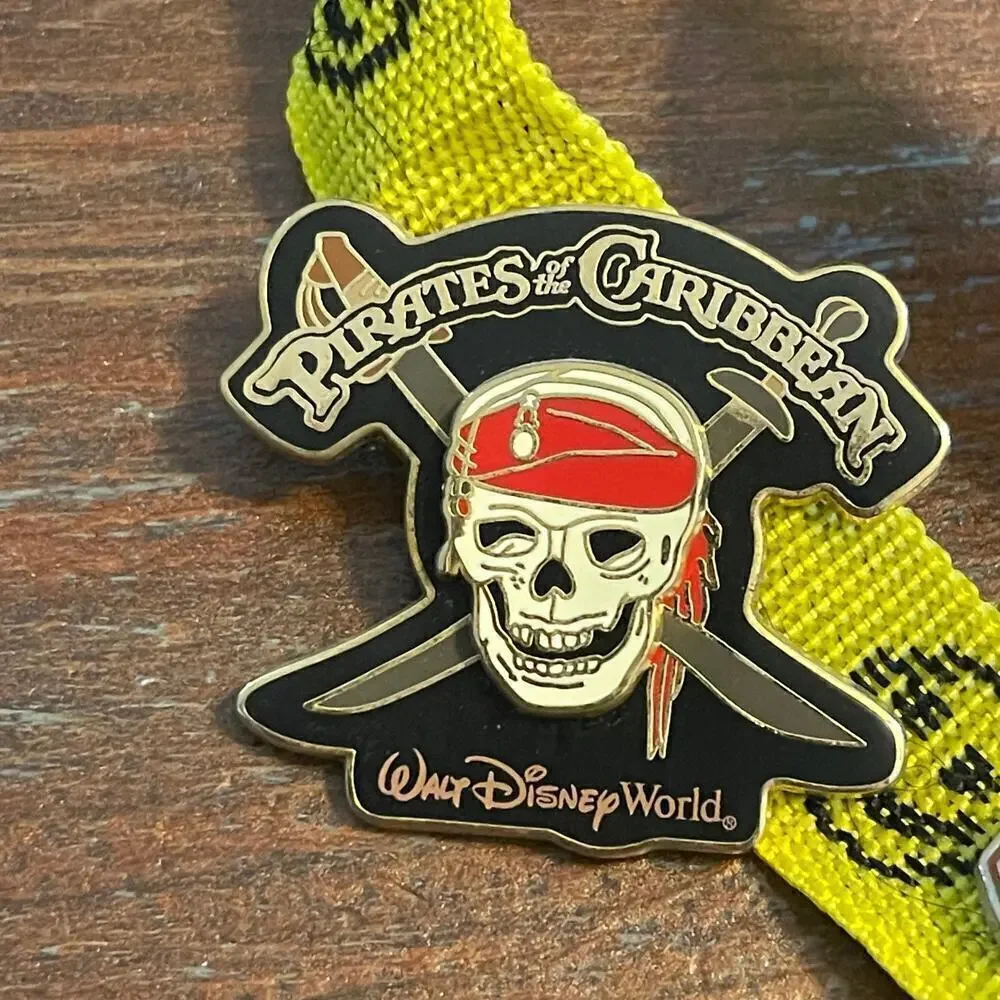 Disney Lanyard with 12 Pins